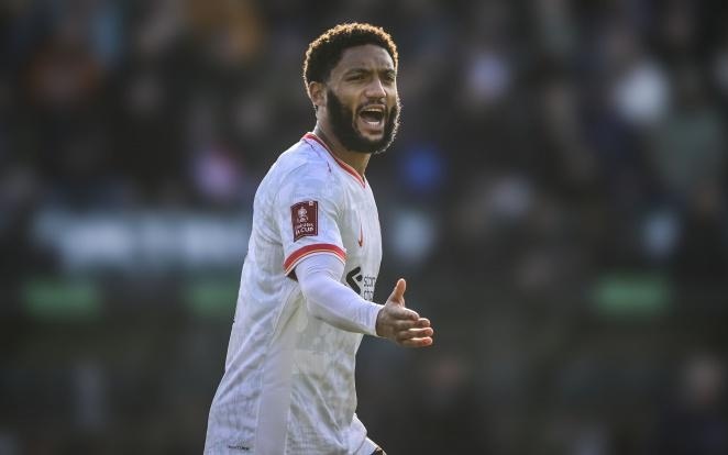 达拉斯在全 达拉斯在全